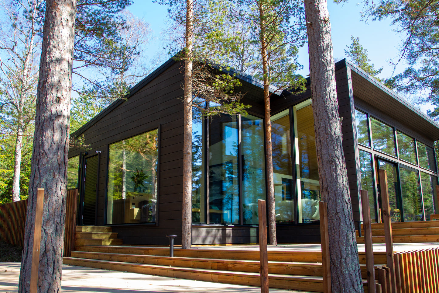 Hybrid Wood Protector