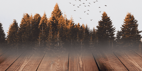 Fettflecken auf Holzböden